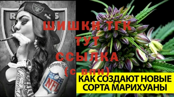 дмт Баксан